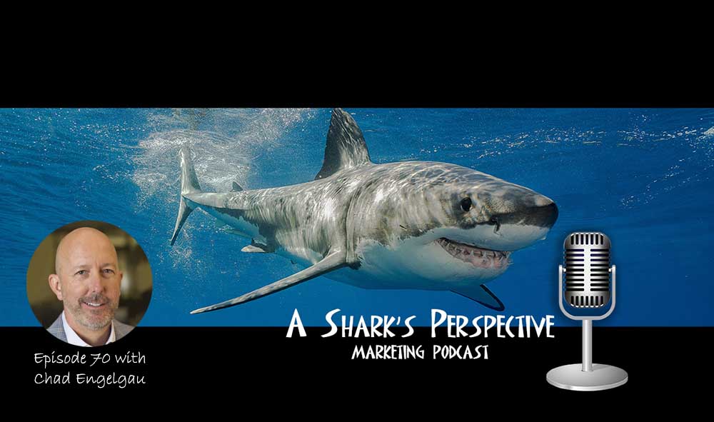 a_sharks_perspective_episode_70_chad_engelgau (1)
